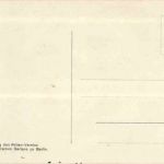 Berlin - Zoologischer Garten - Junger Tiger