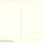 Berlin - Zoologischer Garten - Löwe - Lion