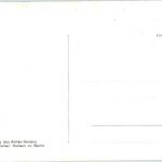 Berlin - Zoologischer Garten - Lion - Löwen