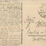 Ostseebad Bodenhagen - Storch