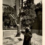 Berlin - Berliner Stadtbär Nante