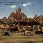 Hamburg - Carl Hagenbecks Tierpark