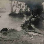 Salon de l Ecole Francaise 1911