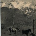 Eaux Bonnes - Horse