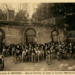 Equipage de Cheverny - Dogs