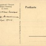 Hamburg - Carl Hagenbecks Tierpark - See Elefant