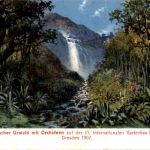 Dresden - Internationale Gartenbau Aussellung 1907