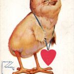 Kücken - Awson Wood