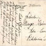 Kücken - Awson Wood