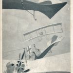 Deutsche Taube im Kampf