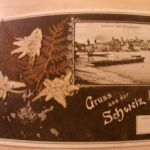 Gruss aus Luzern - mit echtem Edelweiss