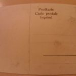 Gruss aus Luzern - mit echtem Edelweiss