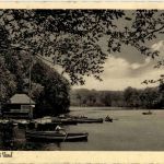 Mühlenteich bei Varel