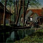 Kaupen - Spreewald