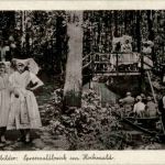 Spreewaldbank im Hochwald