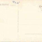 Hohegeiss - Dicke Tanne