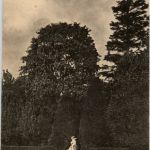 Berlin - Werbekarte Möbelhaus Misch