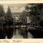 Bad Sachsa - Schmelzteich