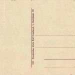 Bärenfels im Winter