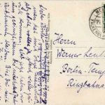 Mühlberg Elbe - Schloss