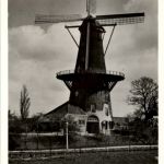 Leiden - Molen