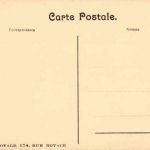 Bruxelles - Les moutons dans le bois de la cambre