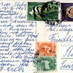 Bedouins in the Negeb Desert