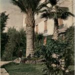 Giardini Isola Madre