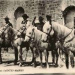 Pferde - Gardians aux Saintes Maries