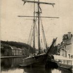 Morlaix - Coilier dans le Port