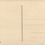 Humor - Da lachen ja die Hühner