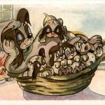 Hunde - Humor