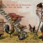 Humor - Hühner