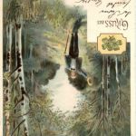 Ein freies Leben führen wir Räuber