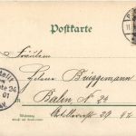 Ein freies Leben führen wir Räuber