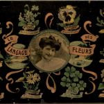 Le Langage des Fleurs