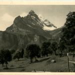 Braunwald