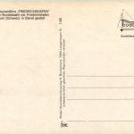 Fähre Friedrichshafen