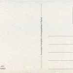 Ski - Künstlerkarte Magrini - Repro