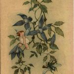 Künstlerkarte Regina Steib