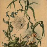 Künstlerkarte Regina Steib