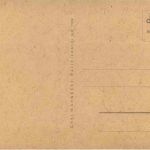 Kind mit Gitarre und Katze