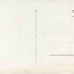 Künstlerkarte - Lotte Oldenburg