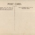 Miss Mabel Love