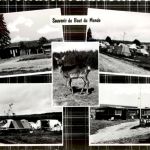 Les Tailles Laroch en Ardenne