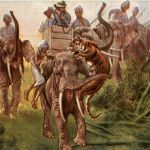 Elephant and Tiger