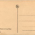 Tervueren - Musee du Congo Belge - elephant