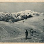 Ski