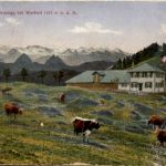 Kreuzegg bei Wattwil
