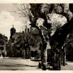 Coppet